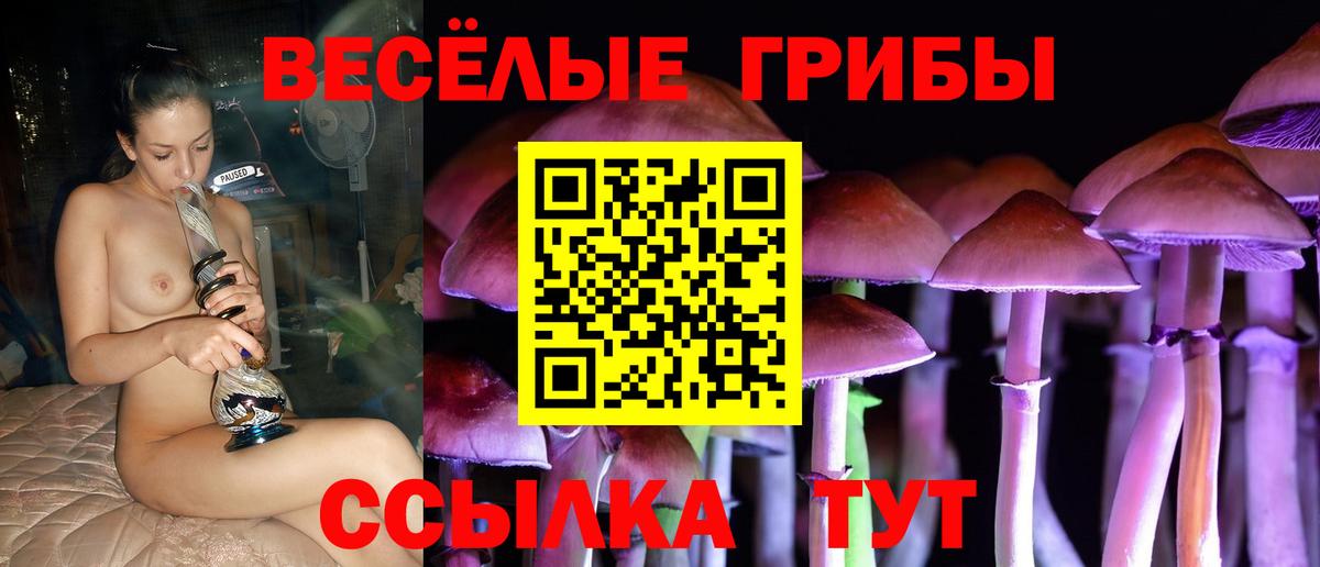 Псилоцибиновые грибы ЛСД Семилуки